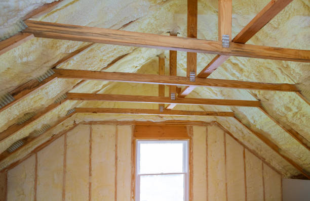 Best Spray Foam Insulation in Dacula, GA