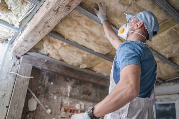 Best Insulation Maintenance and Repair in Dacula, GA