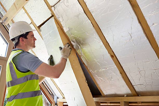 Best Geographic-Specific Insulation Services in Dacula, GA