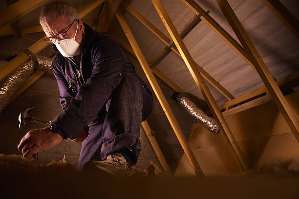 Best Commercial Insulation in Dacula, GA
